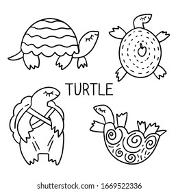 Hand drawn set of turtles doodle vector illustration and text turtle isolated on white background. Black outline symbols. Design for greeting cards, coloring page, textile, print, logo,  coloring book