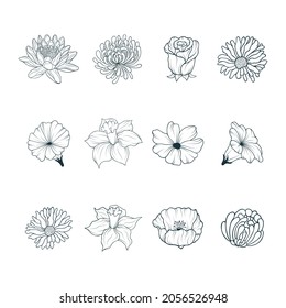 Hand drawn set of twelve different flower heads isolated on white background. Vector illustration for gift cards design and invitations.