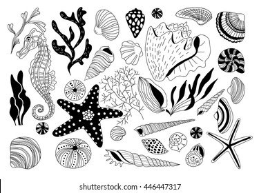 Hand  drawn set of underwater creatures and seaweeds. Various shells and sea horse.