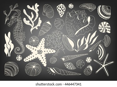 Hand  drawn set of underwater creatures and seaweeds. Various shells and sea horse.