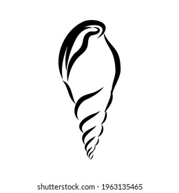 Hand drawn set of various seashell. clam shell, vector sketch