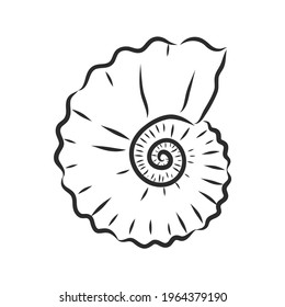 Hand drawn set of various seashell. clam shell, vector sketch