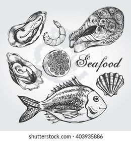 Hand drawn set of various types of seafood - dorado fish (bream), shrimp, scallops, oysters, salmon steak. Vector illustration.