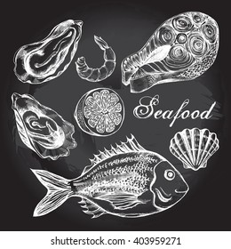 Hand drawn set of various types of seafood - dorado fish (bream), shrimp, scallops, oysters, salmon steak. Vector illustration on blackboard.