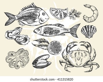 Hand drawn set of various types of seafood - dorado fish (bream), shrimp, scallops, oysters, seabass fish, crab, shrimp, mussels, octopus. Vector illustration.