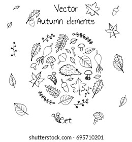 Hand drawn set of vector autumn elements. Includes foliage, berries, acorns, mushrooms, oak and maple 
leaves, rosehips and a hedgehog.