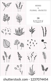 Hand drawn set of vector herbs and floral objects. Decoration elements for design invitation, wedding cards, valentines day, greeting cards.