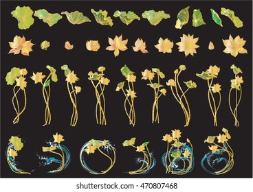 Hand drawn set vector illustration of lotus stripes.