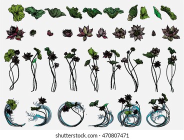 Hand drawn set vector illustration of lotus stripes.