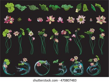 Hand drawn set vector illustration of lotus stripes.