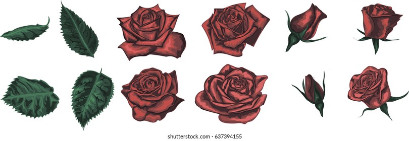 Hand drawn set of vector roses for website decoration 