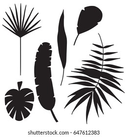 Hand Drawn Set Of Vector Tropical Leave Icons.