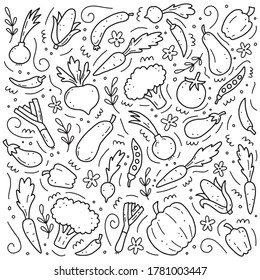 Hand drawn set of vegetable elements, carrot, salad, tomato, onion, lettuce, chili. Comic doodle sketch style. Vegetables element drawn by digital brush-pen. Vector illustration for icon, menu, frame