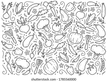 Hand drawn set of vegetable elements, carrot, salad, tomato, onion, lettuce, chili. Comic doodle sketch style. Vegetables element drawn by digital brush-pen. Vector illustration for icon, menu, frame