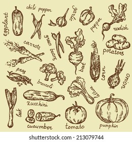 hand  drawn set: vegetables 