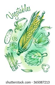 Hand drawn set of vegetables - artichoke, peas, broccoli, corn, okra, pepper, cucumber, asparagus. Vector illustration.