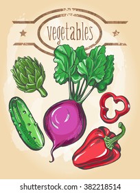 Hand drawn set of vegetables - artichoke, beet, pepper, cucumber. Vector illustration.