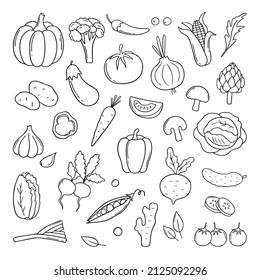 Hand drawn set of vegetables doodle. Carrot, radish, salad, cucumber, cabbage in sketch style.  Vector illustration isolated on white background.