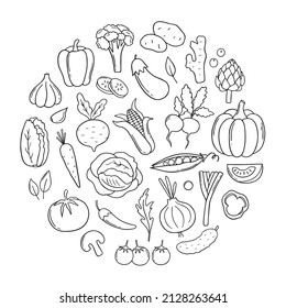 Hand drawn set of vegetables doodle in circle shape. Carrot, radish, salad, cucumber, cabbage in sketch style.  Vector illustration isolated on white background.