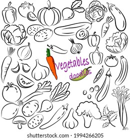 Hand drawn set of vegetables doodles. Vector illustration on white background.