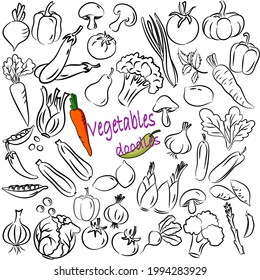 Juego de garrapatas de verduras dibujadas a mano. Ilustración vectorial sobre fondo blanco.