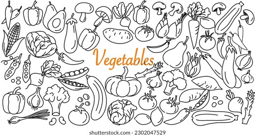 Hand drawn set of vegetables doodles. Vector illustration on white background.