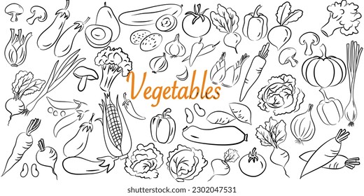 Hand drawn set of vegetables doodles. Vector illustration on white background.