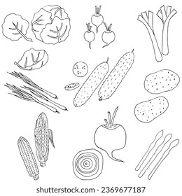 Hand drawn set of vegetables. Food vector illustration. 