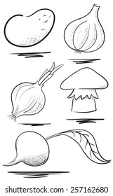 Hand drawn set vegetables illustration