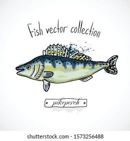 Hand drawn set watercolor ink, menu restaurant, sketch cartoon print vector illustration, sea food