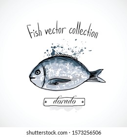 Hand drawn set watercolor ink, menu restaurant, sketch cartoon print vector illustration, sea food