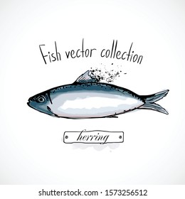 Hand drawn set watercolor ink, menu restaurant, sketch cartoon print vector illustration, sea food
