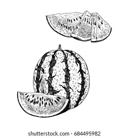 Hand drawn set of watermelon. Retro sketches isolated. Vintage collection. Linear graphic design. Slices of watermelon. Black and white image of fruit. Vector illustration.