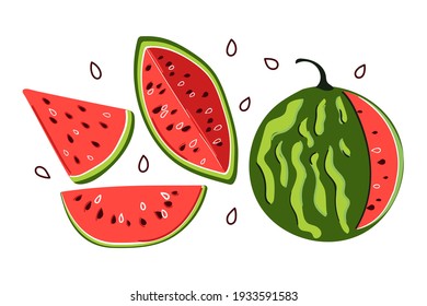 Hand drawn set of watermelons. Modern flat illustration. 