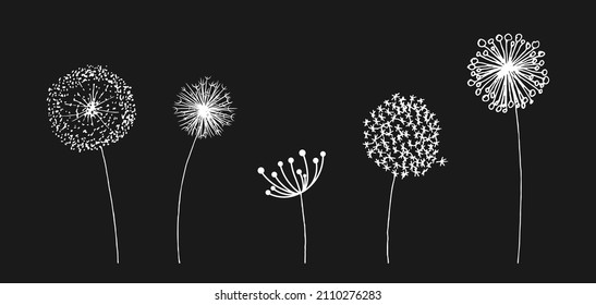 Hand drawn set of white dandelion in cute doodle style. Vector illustratin for fabric, print, pattern, card design or baby clothings, design element.