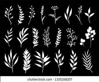 hand drawn set of white herbs, branches, wild flowers and plants on black background