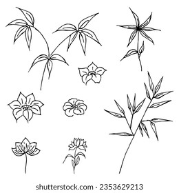 Hand drawn set of wild flowers. Field flowers. Liner