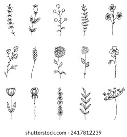 Hand drawn set of wild flowers. Field flowers. Fantasy flowers. Liner