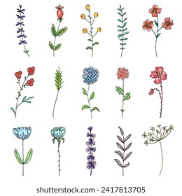 Hand drawn set of wild flowers. Field flowers. Fantasy flowers. Liner, color gel pens and watercolor pencils