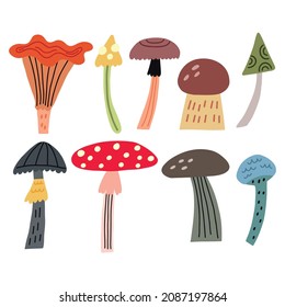 Hand Drawn set wild mushrooms elements in vector naive art illustration