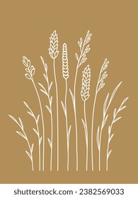 Hand drawn set of wild sheaf and flowers silhouettes, branches and spikelet, field plants and herbs with leaves, flowers, field grass, decorative dividers, design elements, botanical ornament
