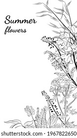 Hand drawn set of wildflowers and herbs. Sketch of summer flowers, herbs and leaves. Collection of meadow plants. Botanical illustration. Decorative elements for summer and spring desing.