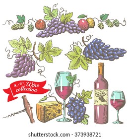 Hand drawn set - wine and wine-making. Vector.