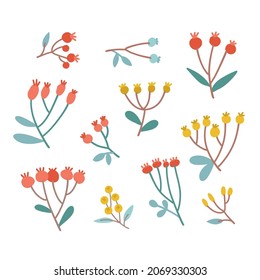 Hand drawn set of winter leaves, berries and branches isolated on background. Winter collection for christmas and new year card, invitations and decoration. Flat scandinavian doodle illustration.