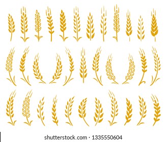 hand drawn set of yellow wheat ears icons