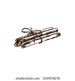 Hand drawn several cinnamon sticks bundled together. Vector illustration For coffee and tea shop and bakery. Pencil drawn in vintage engraving style. Separately on a white background.