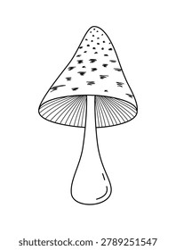 Hand drawn shaggy mane coprinus mushroom isolated on white background. Linear sketch of forest wild mushroom with scaly cap and gills in outline style for autumn design, culinary menu or packaging vector illustration
