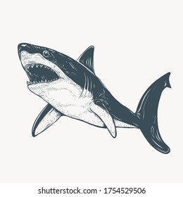 hand drawn shark artwork illustration tattoo design