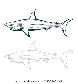 Hand drawn shark illustration.
Isolated shark drawing, side view.