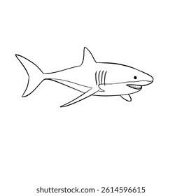 Hand drawn shark illustration vector line art sketch isolated on white background